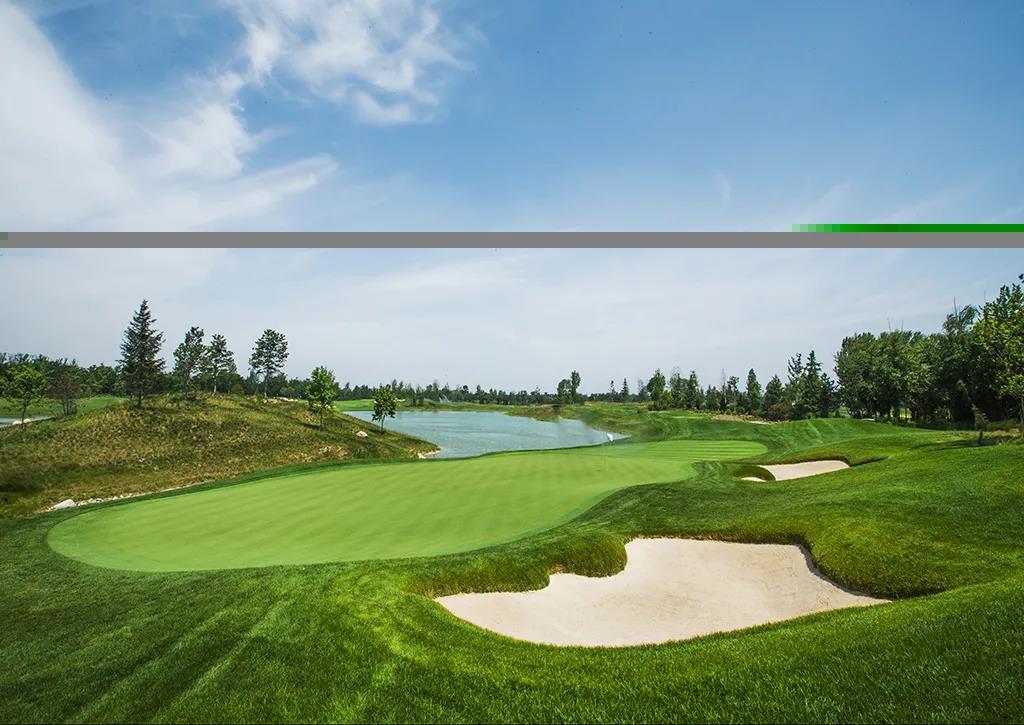 天津27人高尔夫球会