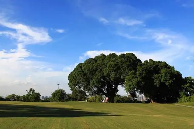 东方厦门高尔夫球会