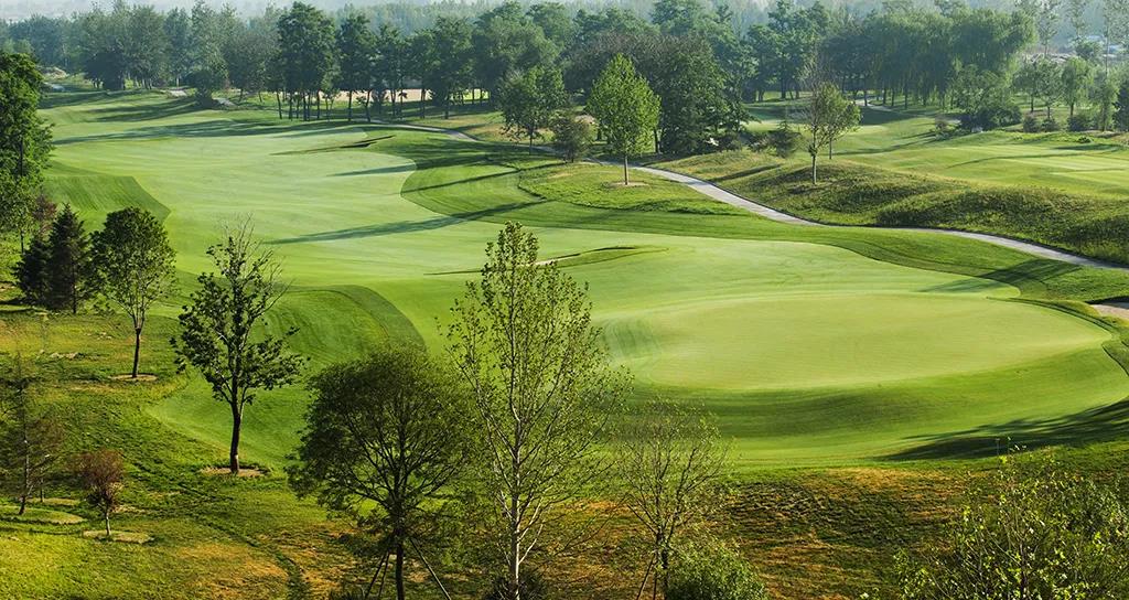 天津27人高尔夫球会