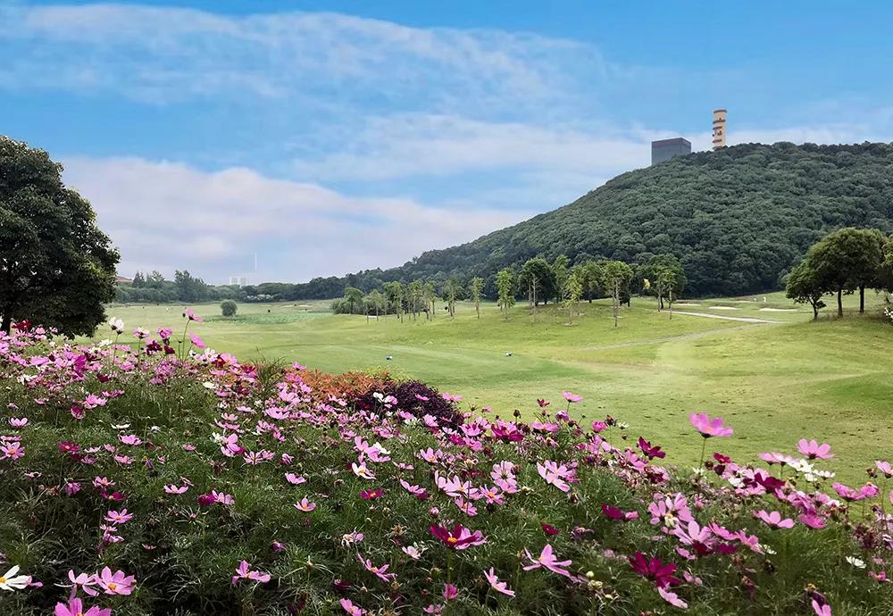 龙涛国际高尔夫球会