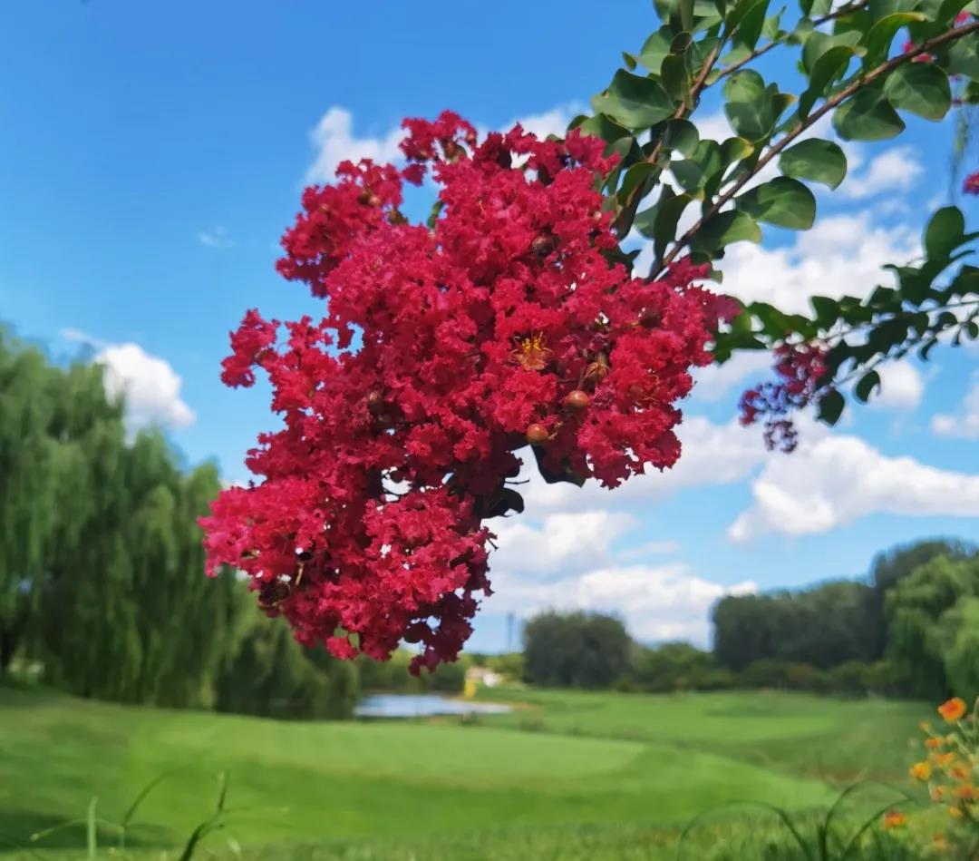 鸿华国际高尔夫球会