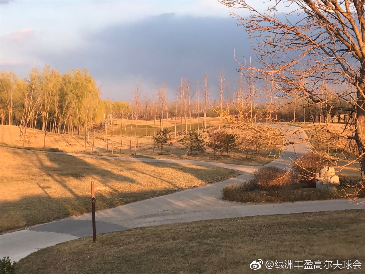 绿洲丰盈高尔夫球会