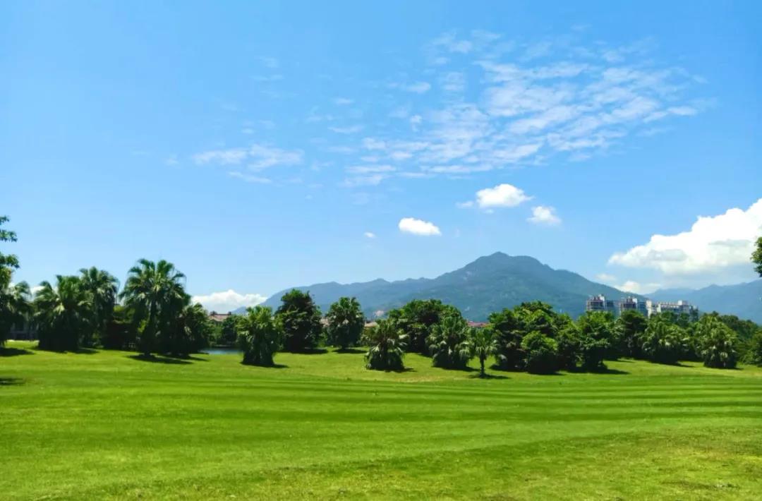 新东阳高尔夫球会