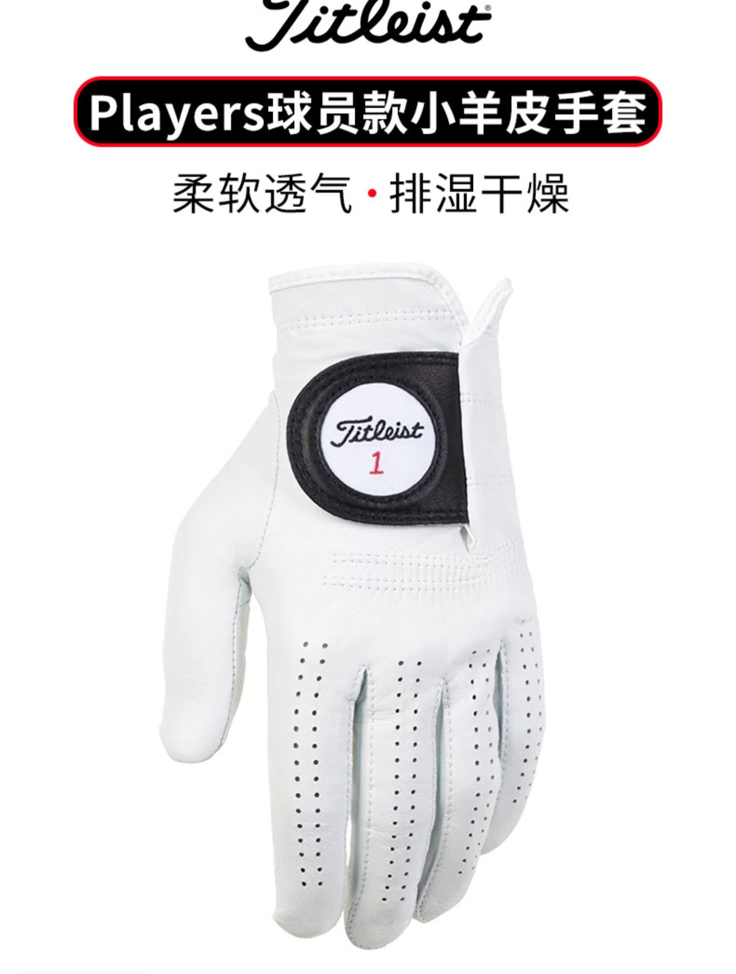 Titleist泰特利斯高尔夫手套Titleist泰特利斯高尔夫手套男Perma-Soft手套羊皮巡回赛手套单只