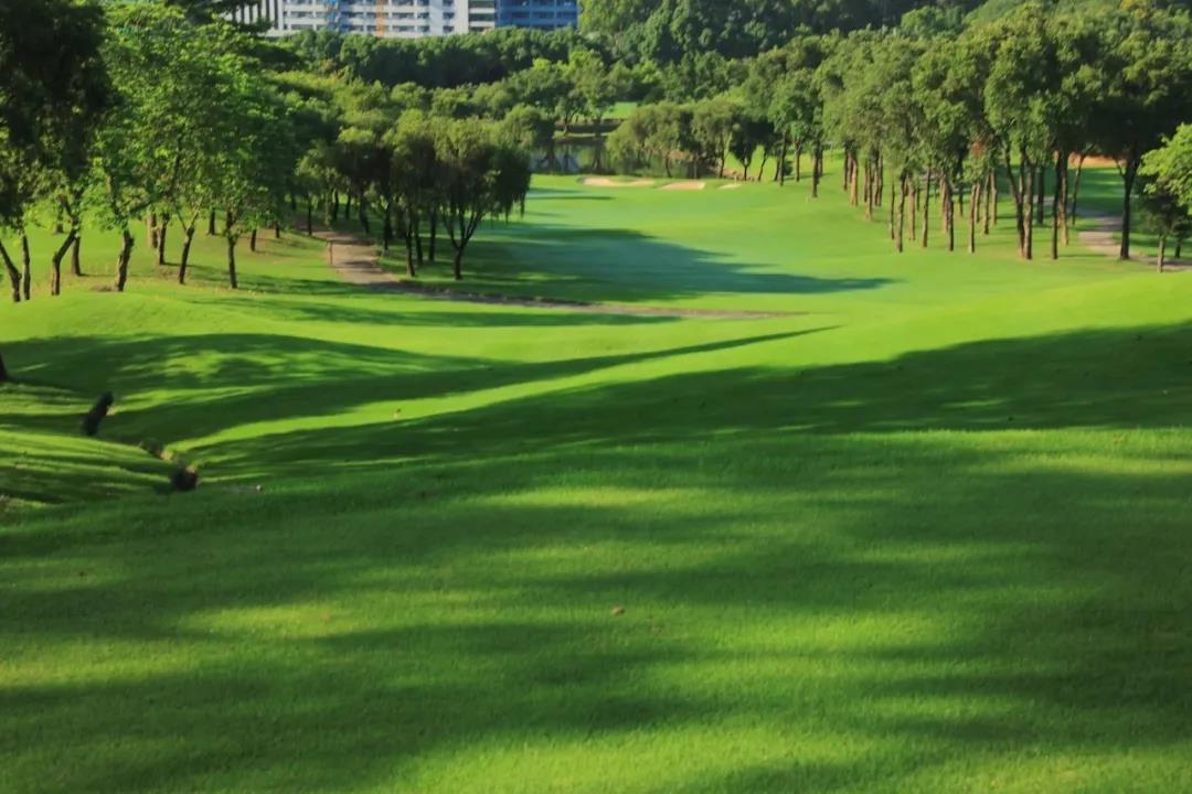 深圳西丽高尔夫球会
