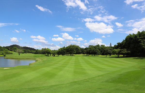 连载⑬|《中国高尔夫球运动产业