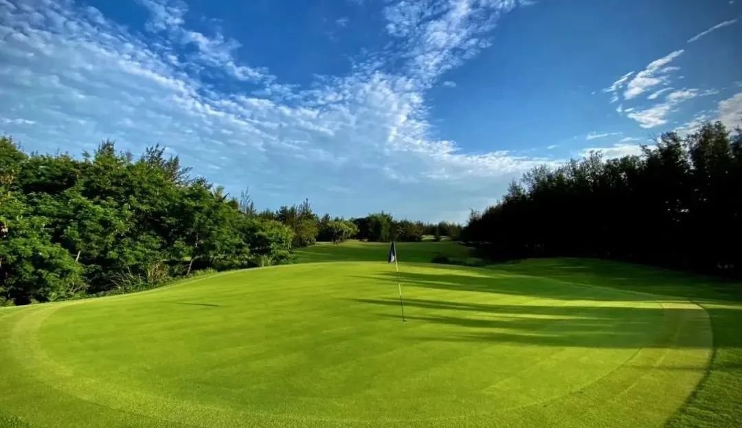 美视高尔夫球会（球场改造）