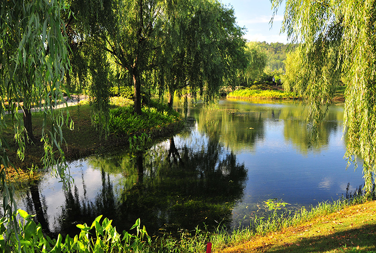 天马乡村高尔夫球会