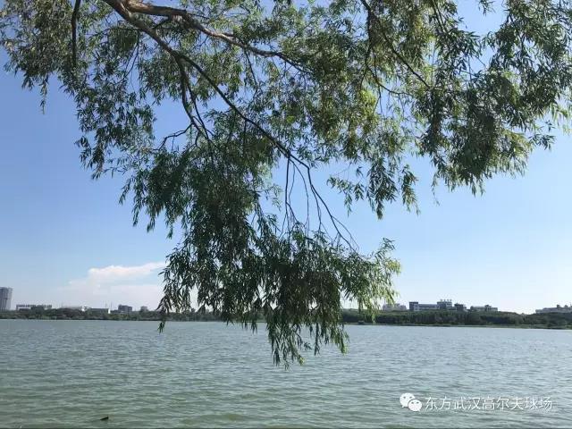 武汉东方高尔夫球会