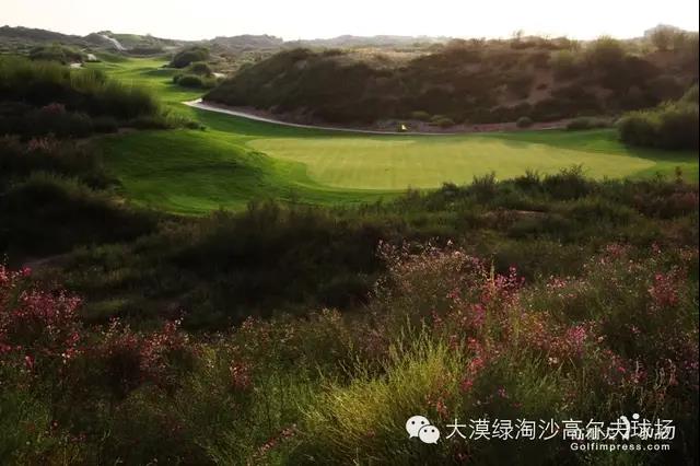 榆林大漠绿淘沙高尔夫球会（暂停预订）