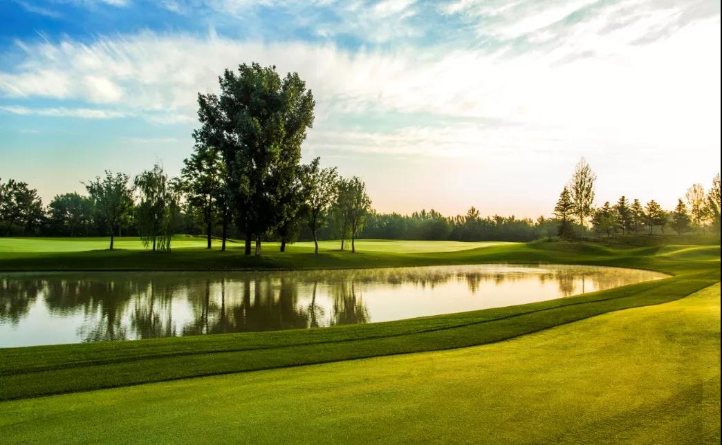 天津27人高尔夫球会