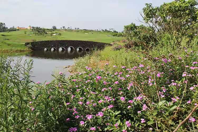 美浪湾高尔夫球会