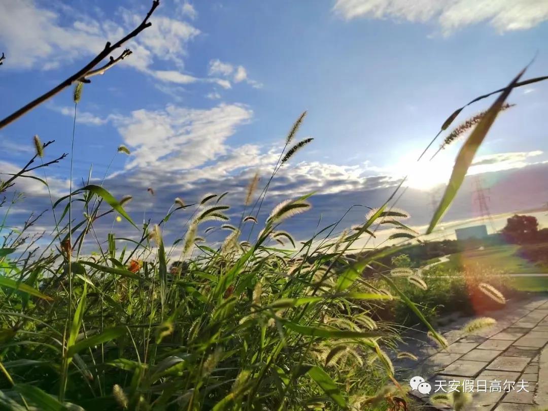 天安假日高尔夫球会