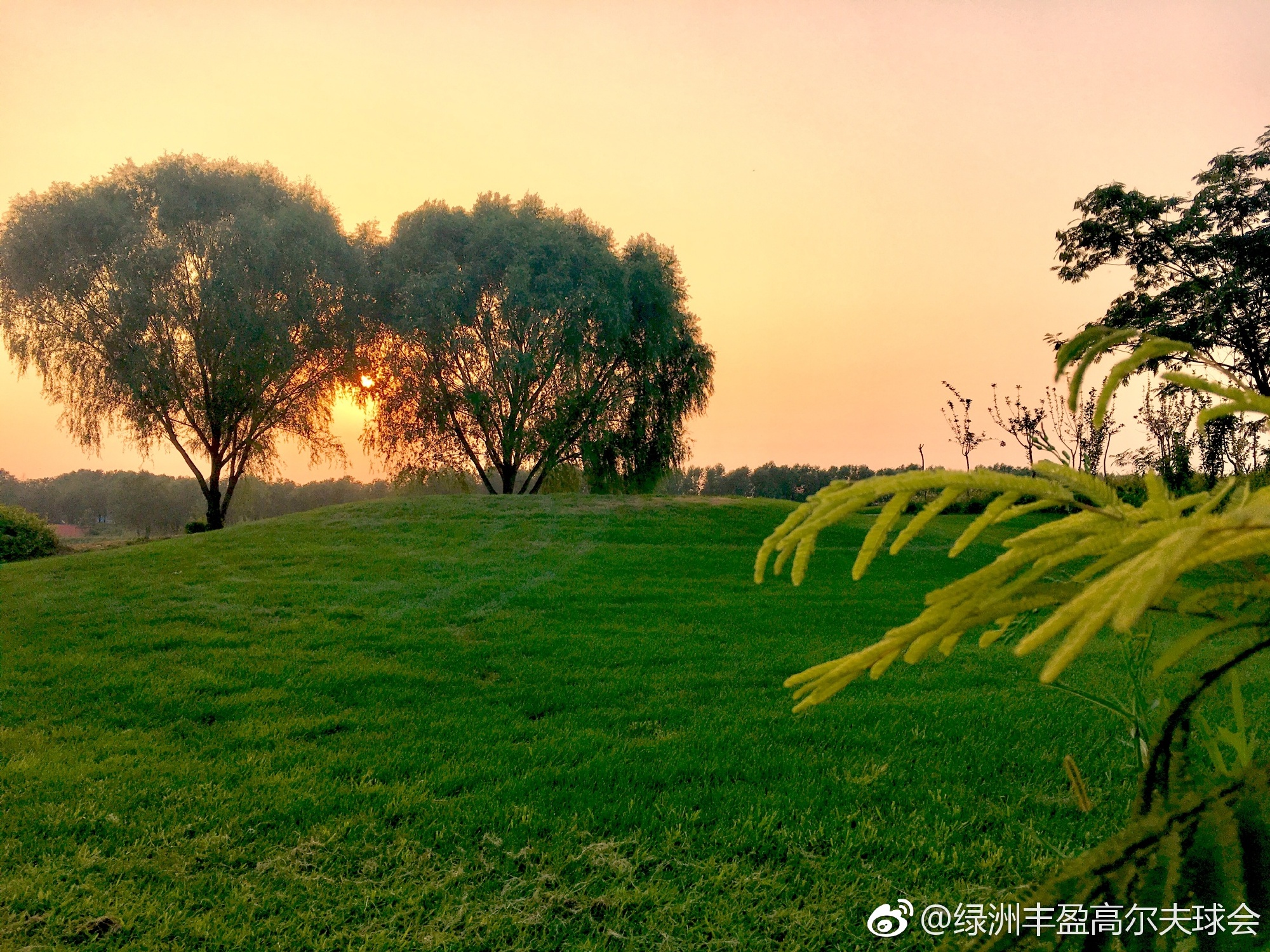 绿洲丰盈高尔夫球会