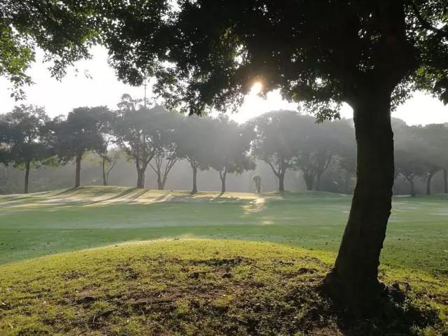 深圳名商高尔夫球会