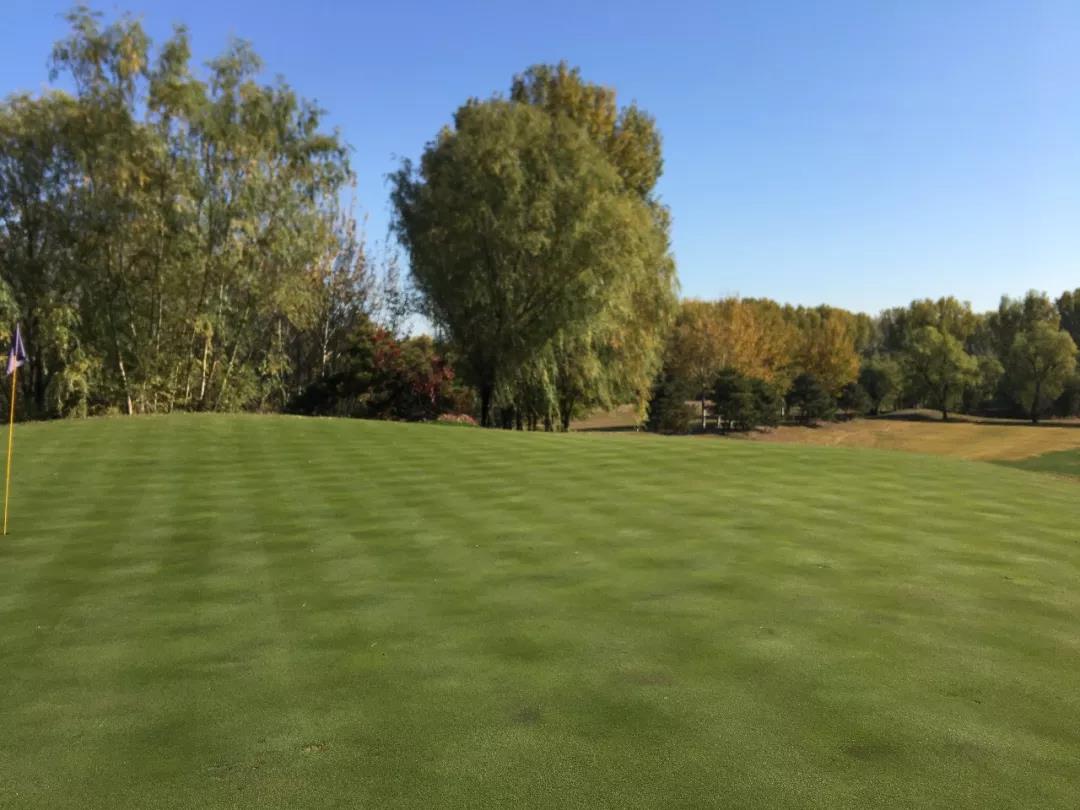 黄港国际高尔夫球会