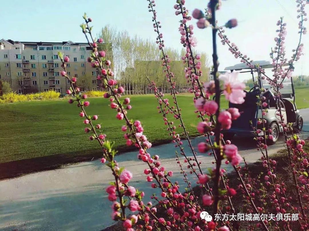 东方太阳城高尔夫球会