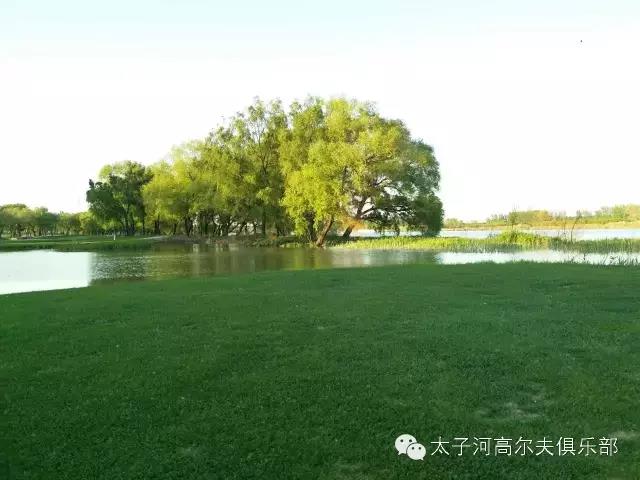 辽阳太子河高尔夫球会