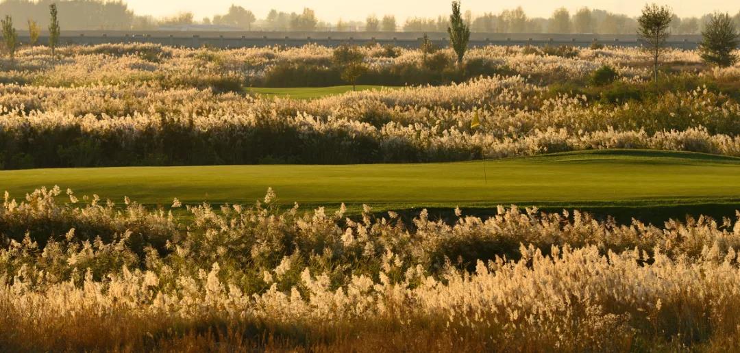 保利包头高尔夫球场