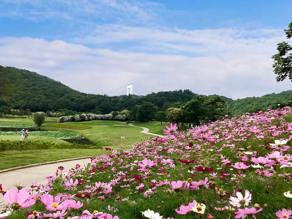 龙涛国际高尔夫球会