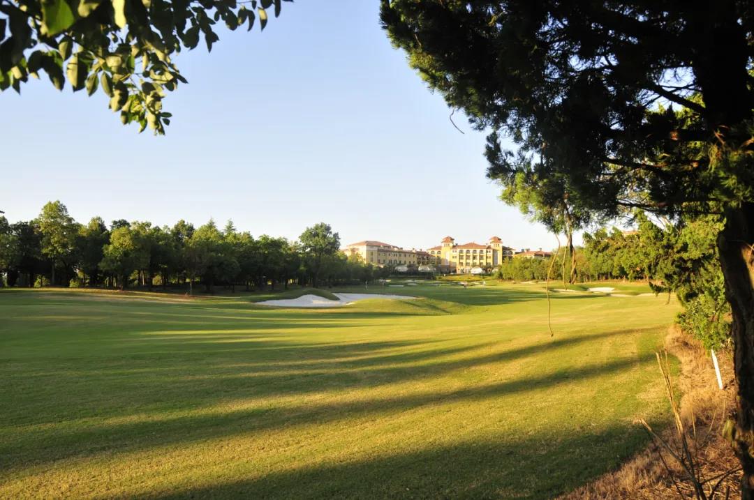 紫蓬湾高尔夫球会