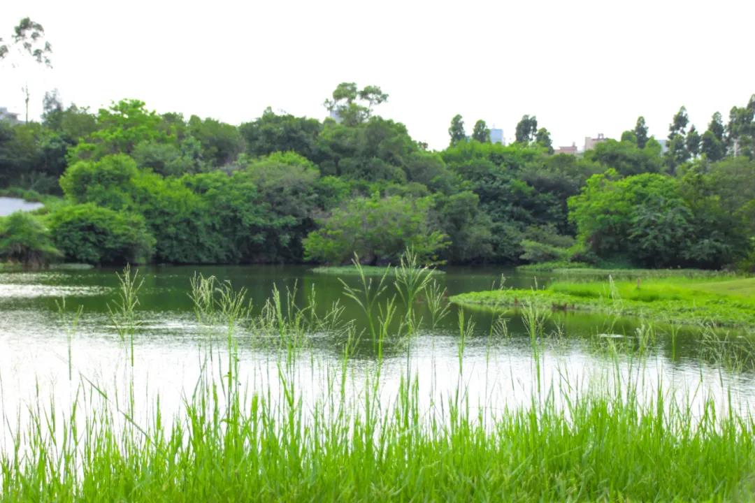 厦门凯歌高尔夫球会