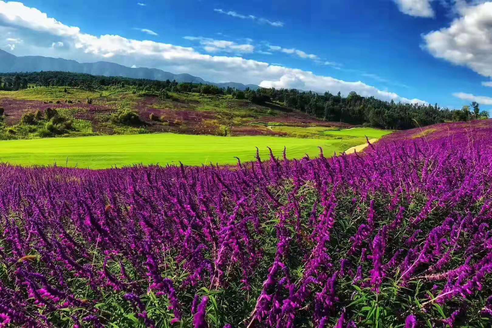 华侨城高尔夫球会