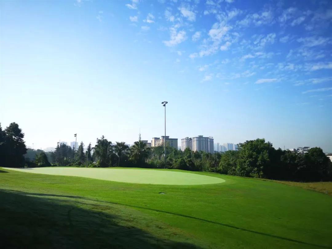 远洋国际高尔夫球会