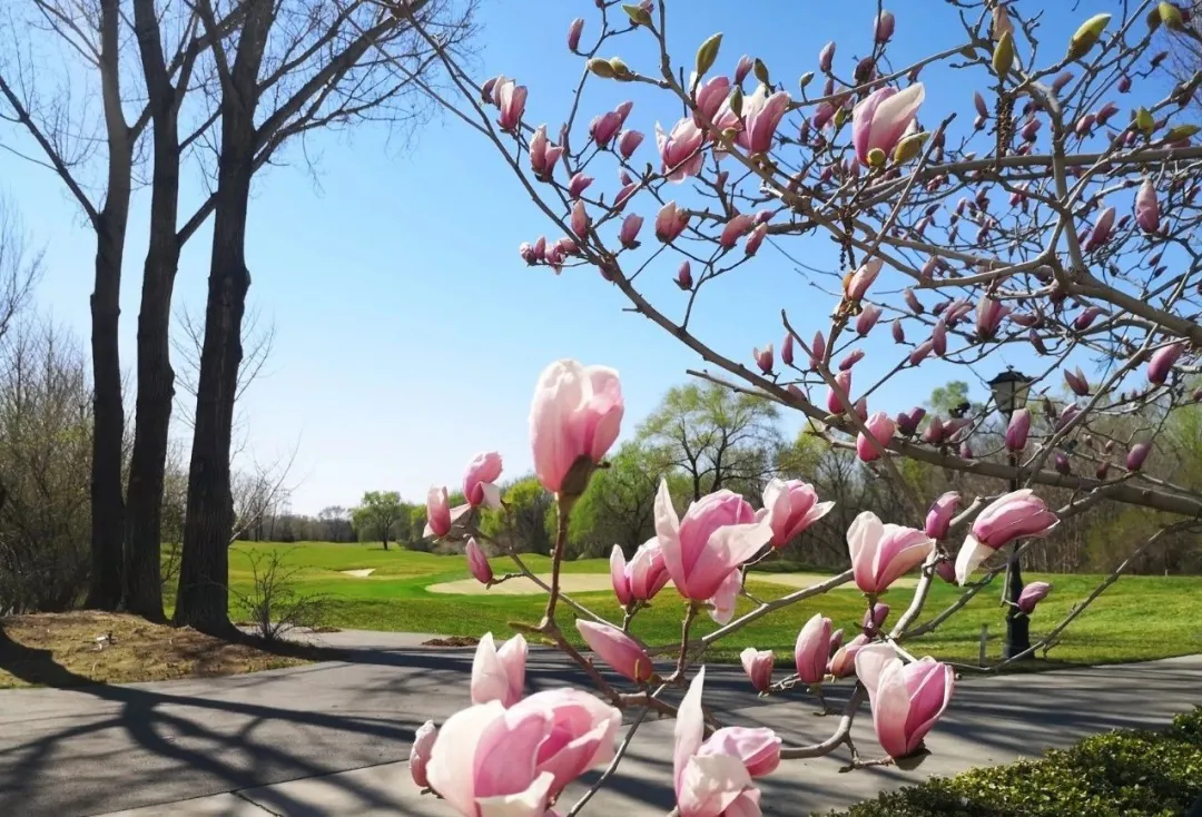 华堂国际高尔夫球会