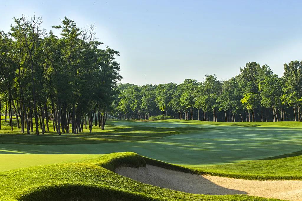 天津27人高尔夫球会