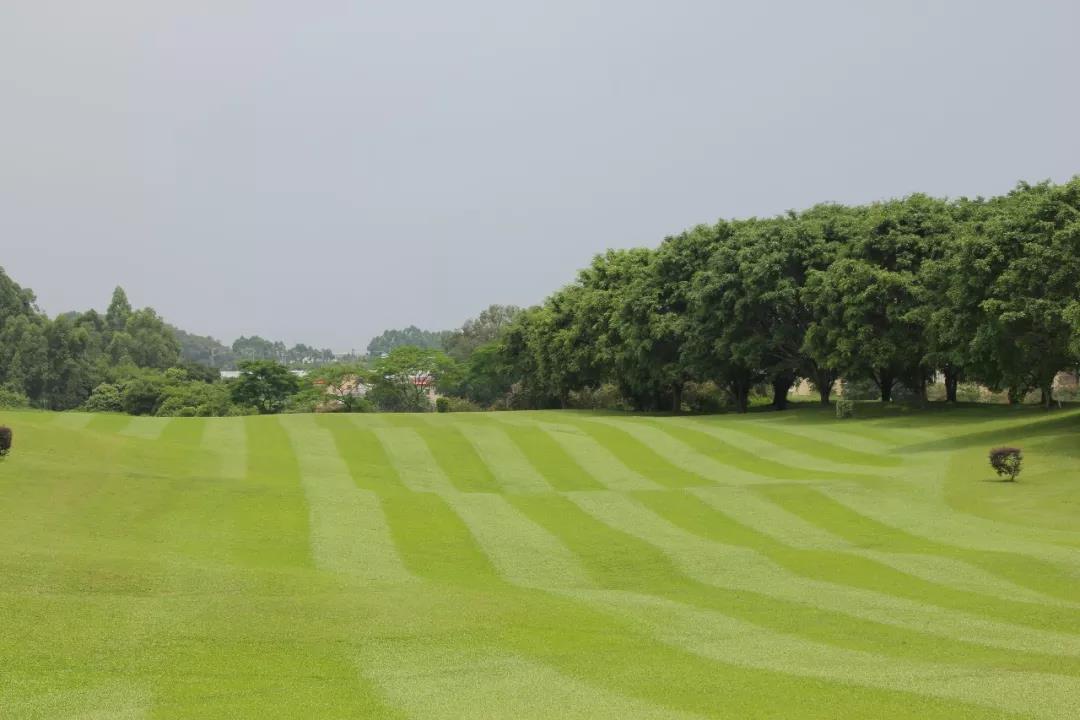 佛山丹灶高尔夫球会