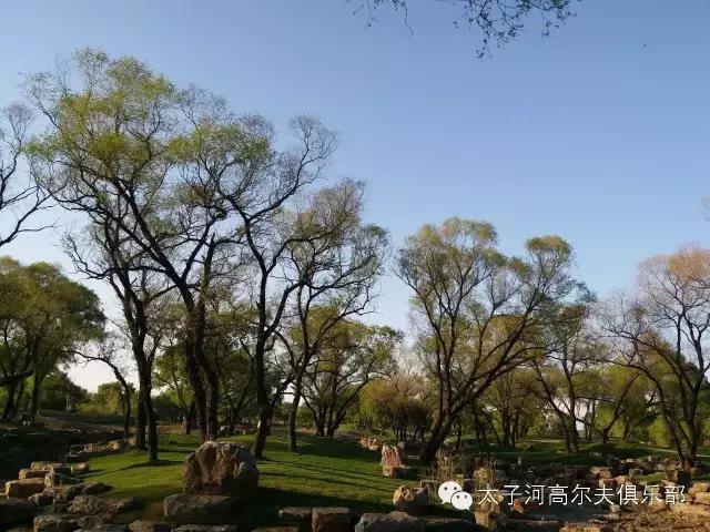 辽阳太子河高尔夫球会