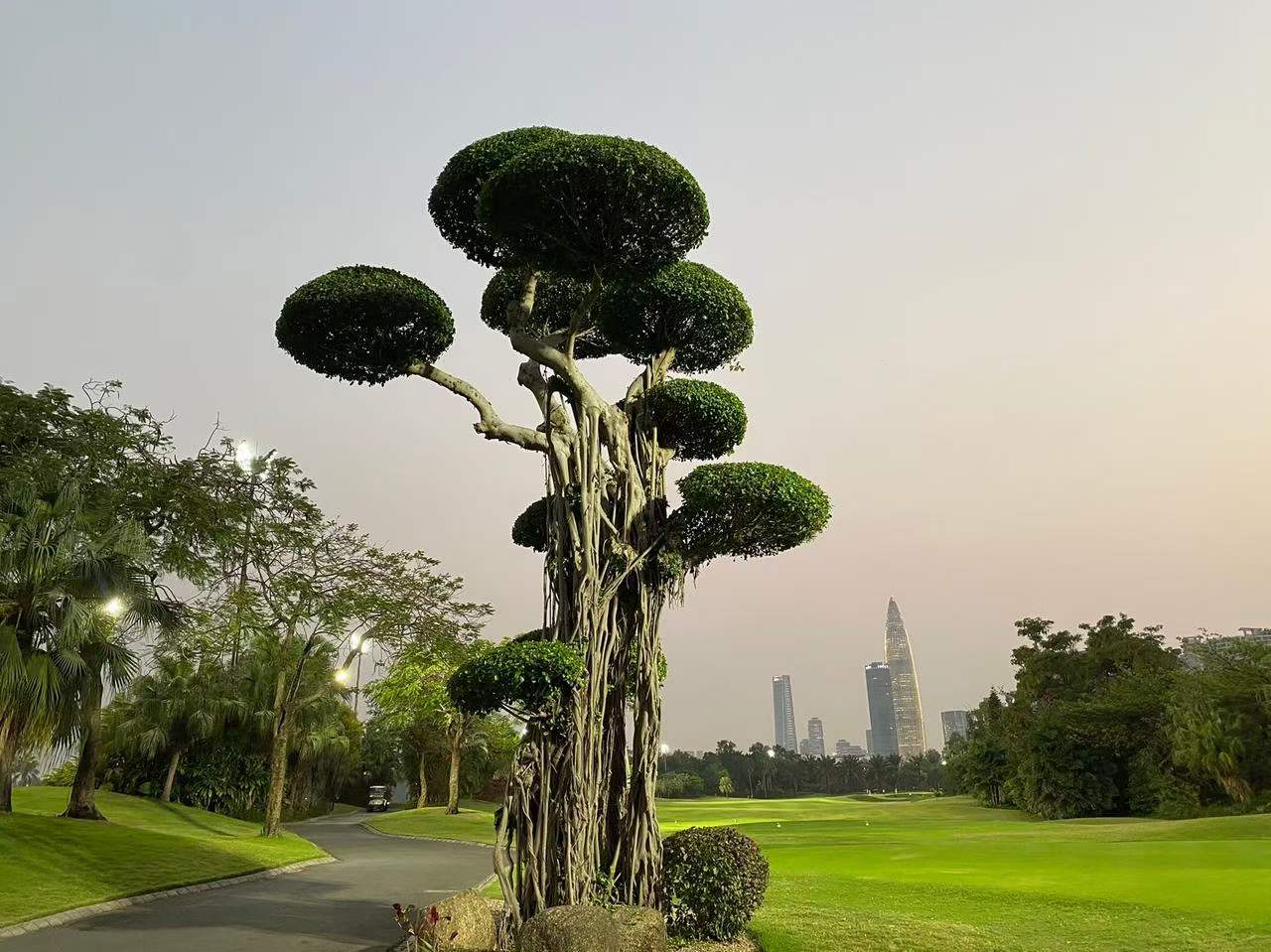 深圳名商高尔夫球会