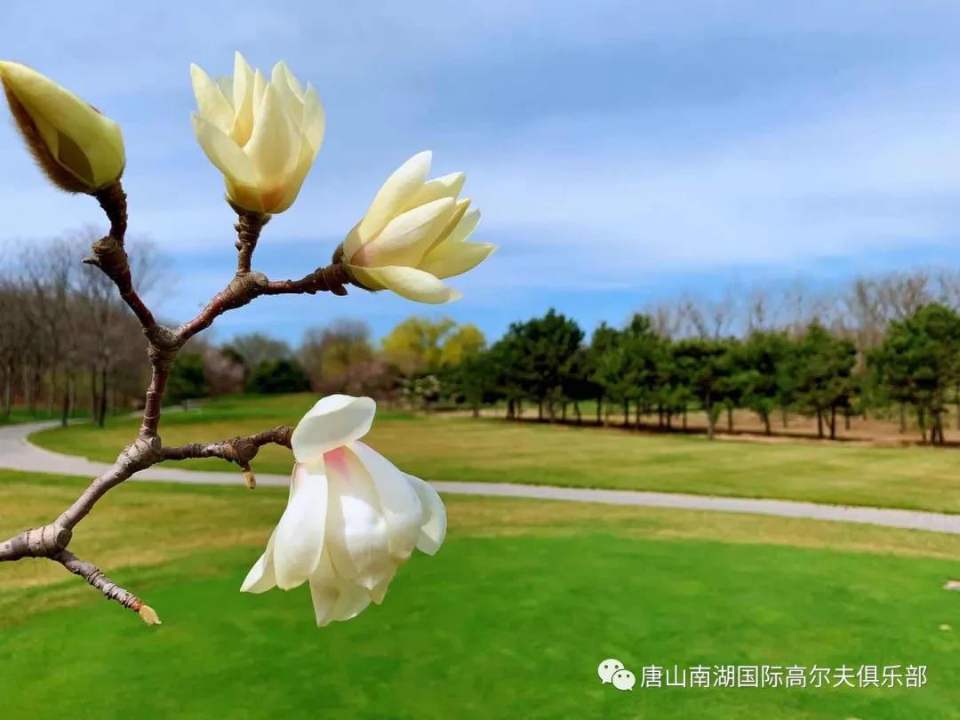 唐山南湖高尔夫球会