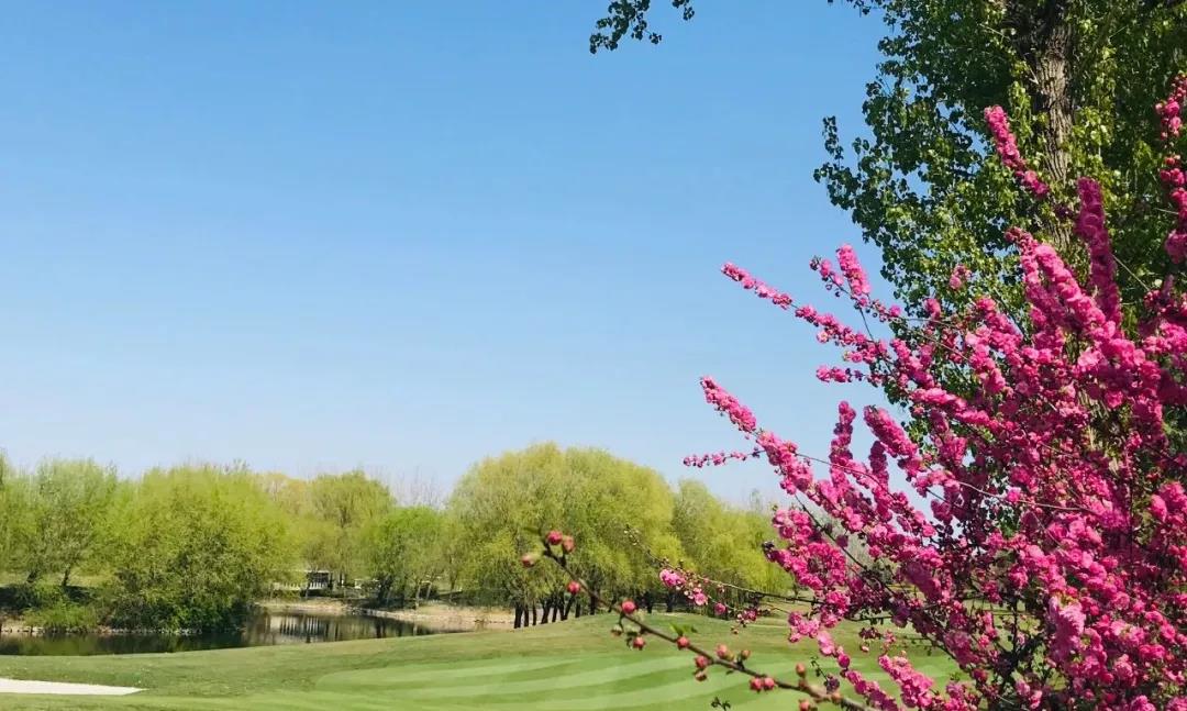 鸿华国际高尔夫球会