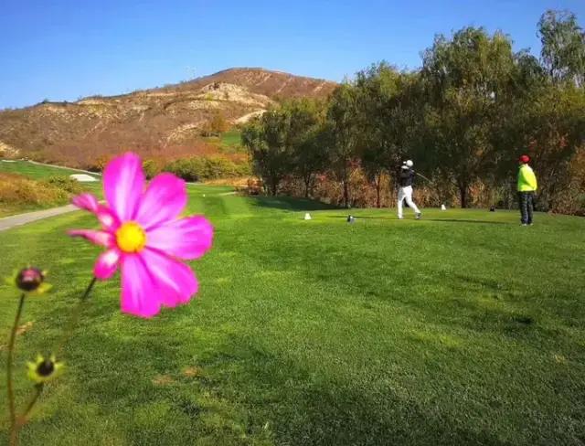 众诚国际高尔夫球会