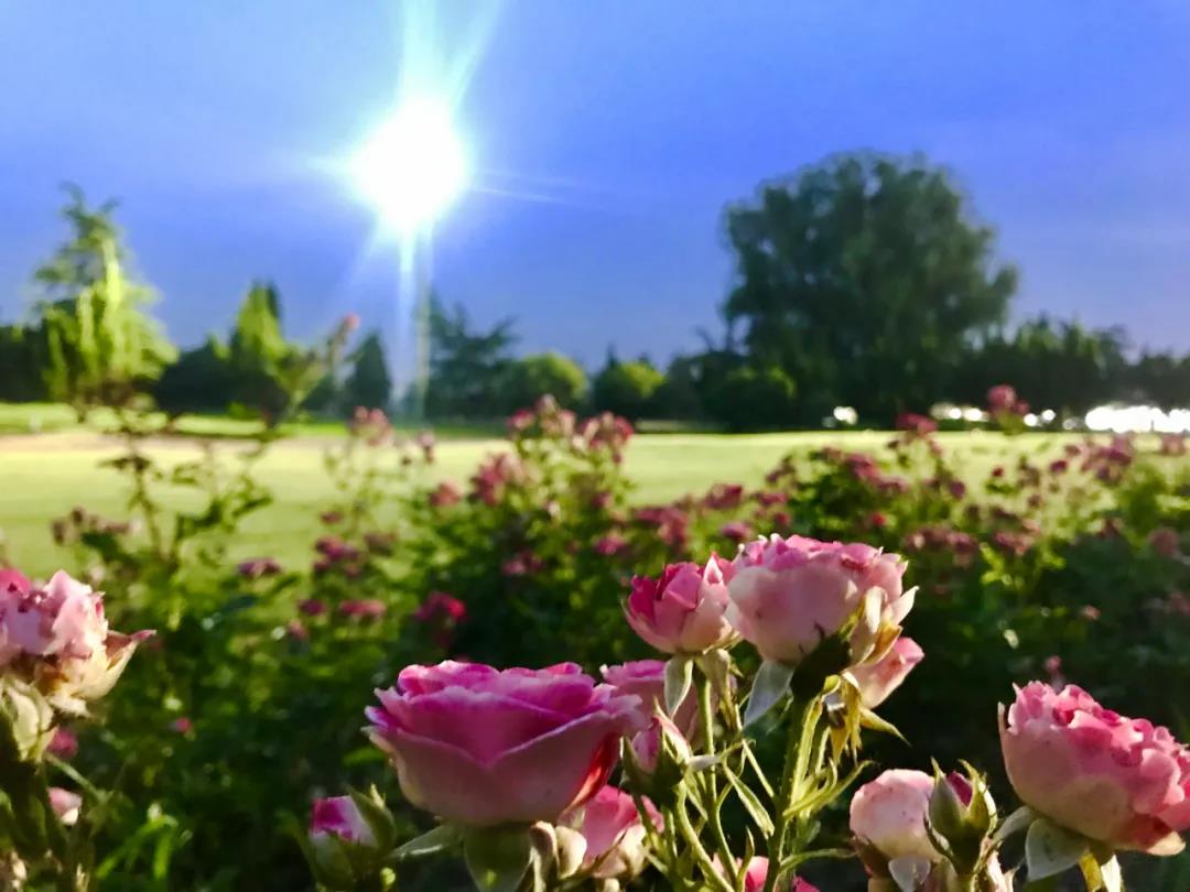 武汉金银湖高尔夫球会