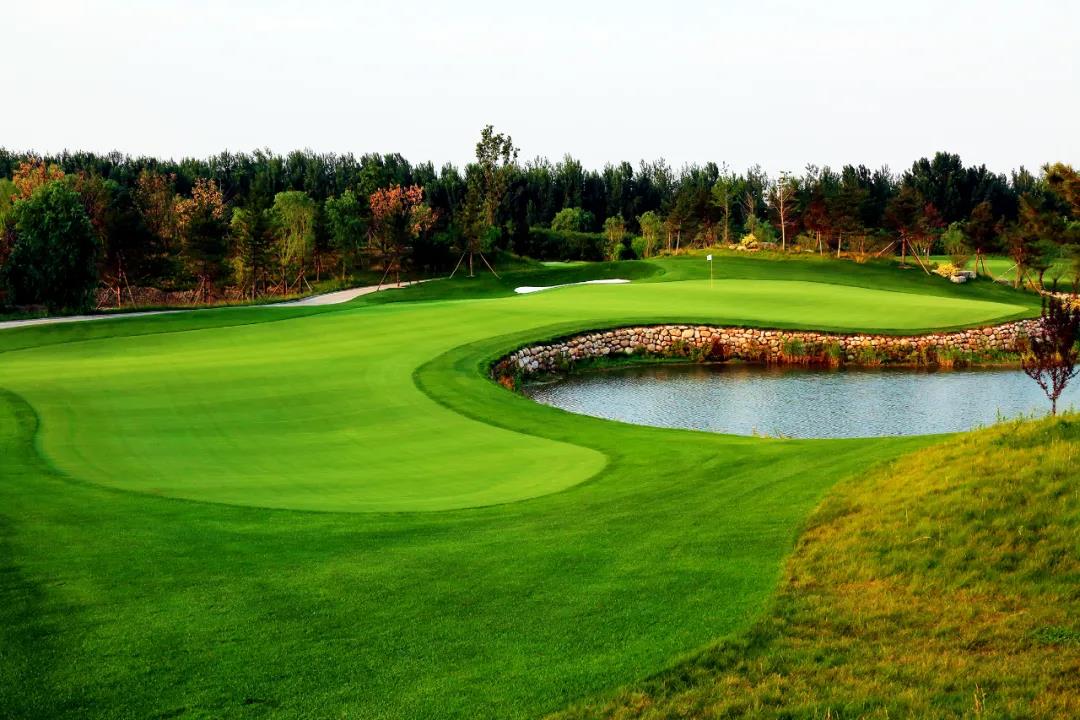 凤河国际高尔夫球会