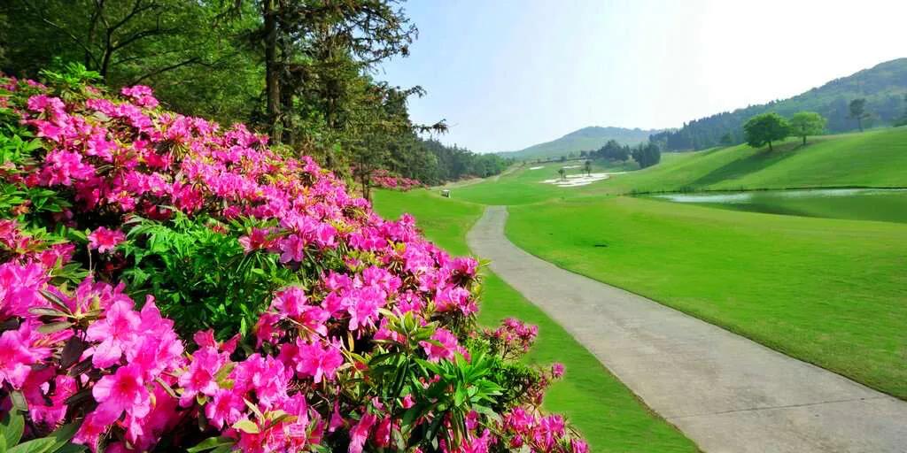 银杏湖高尔夫球会