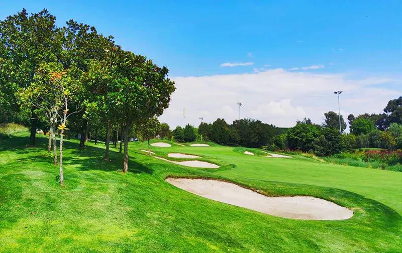 春城+玉龙湾4天3晚3球