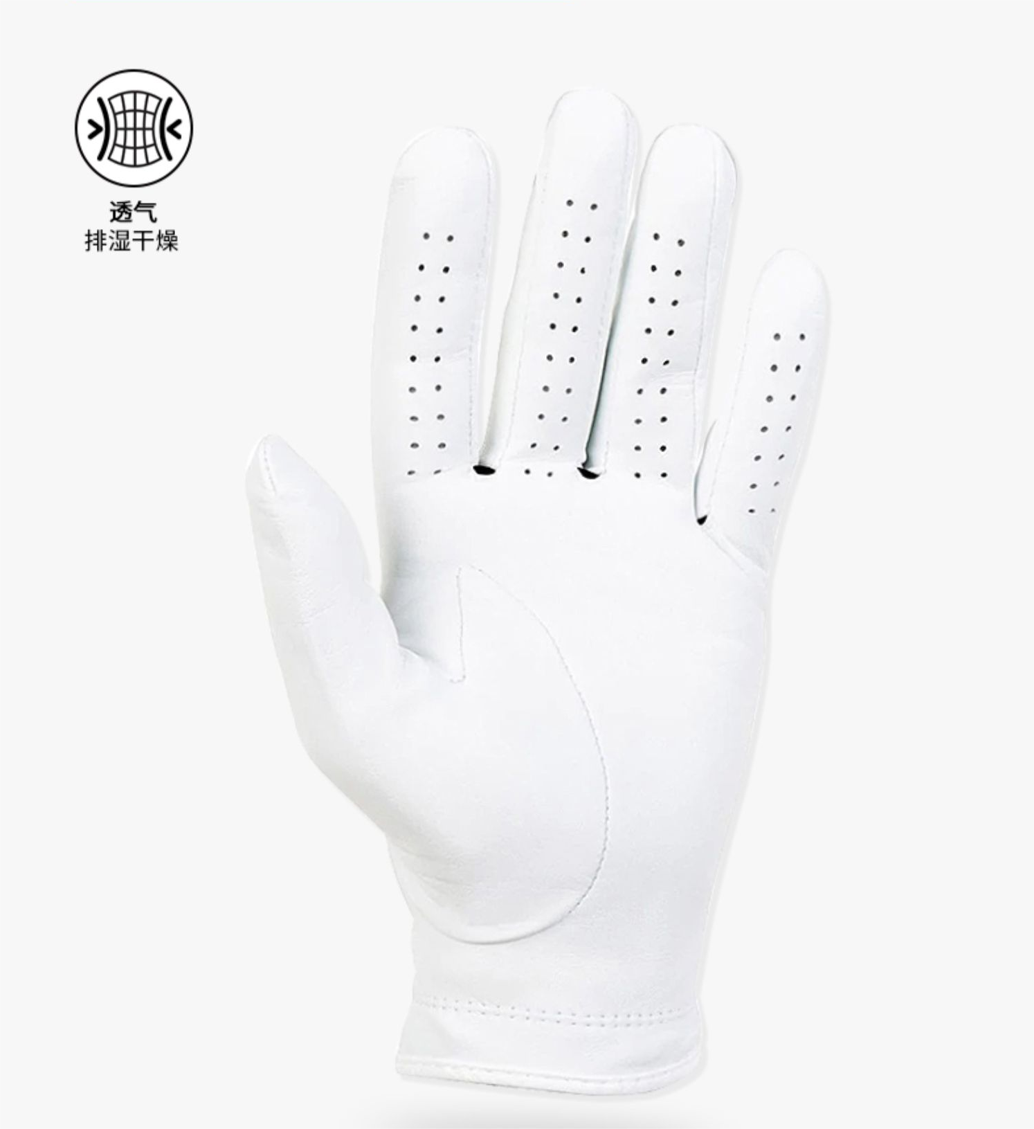 Titleist泰特利斯高尔夫手套男士Players球员款Golf羊皮手套单只