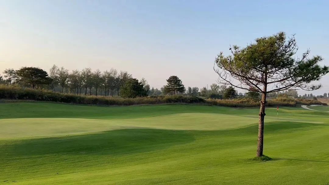 东方双鹰高尔夫球会