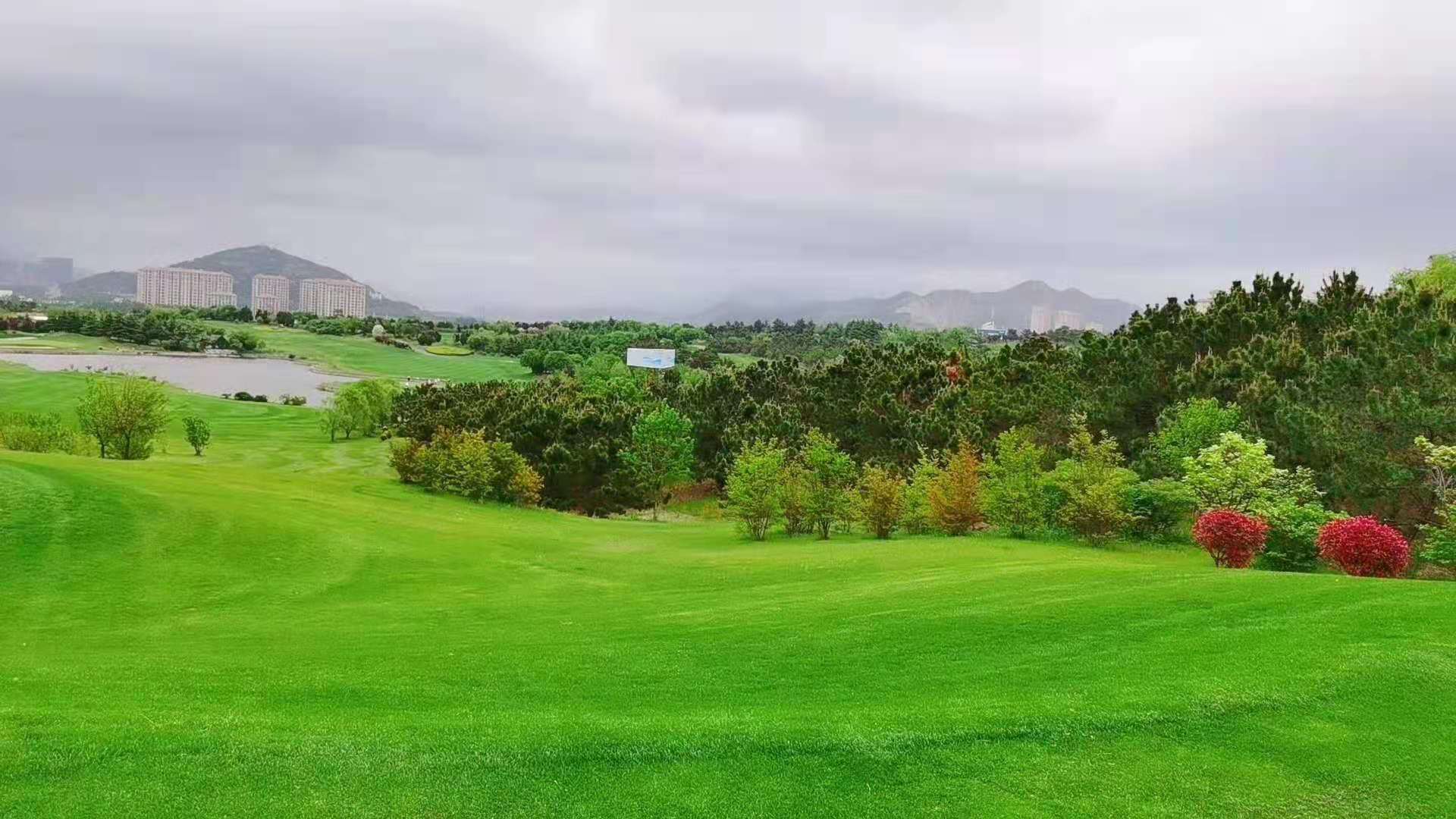 青岛国际+桃园江景 2天1晚2球行程