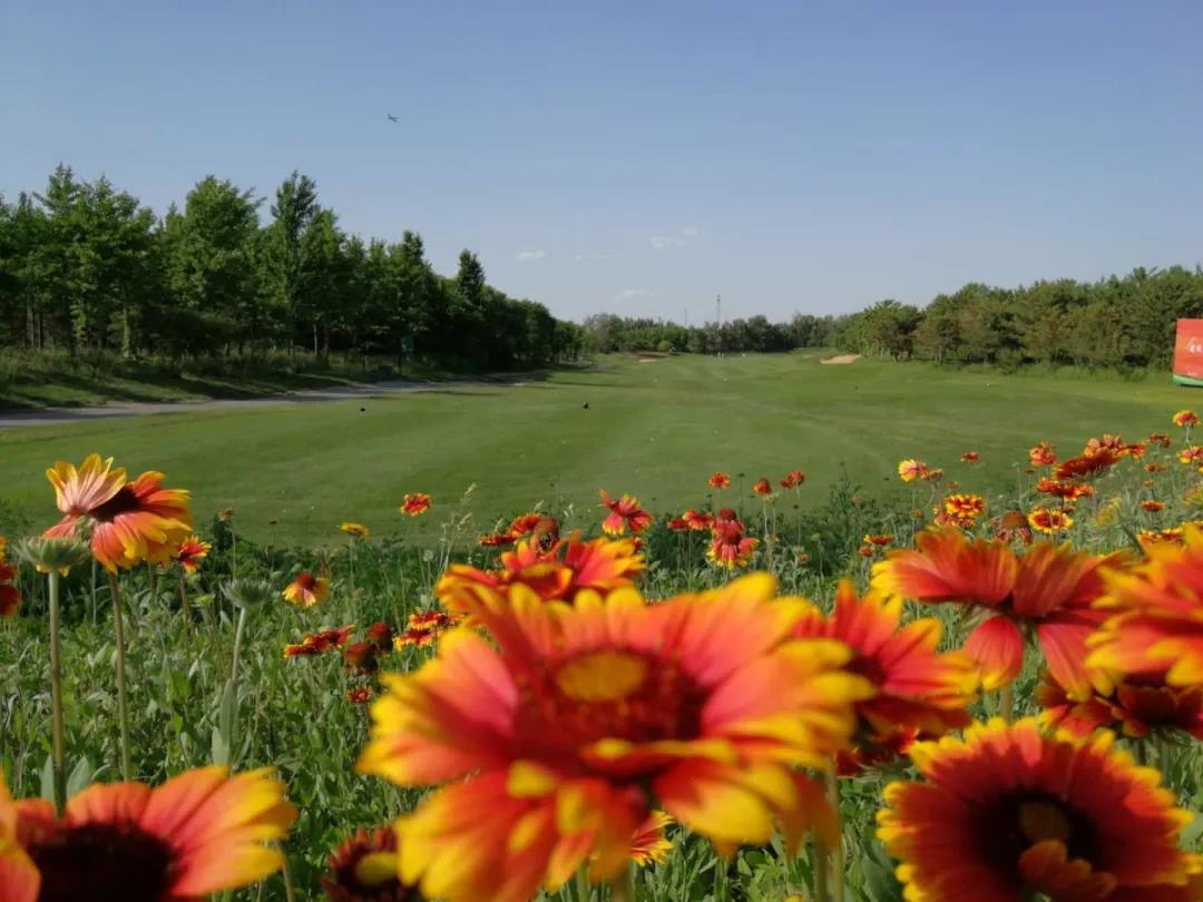 天安假日高尔夫球会