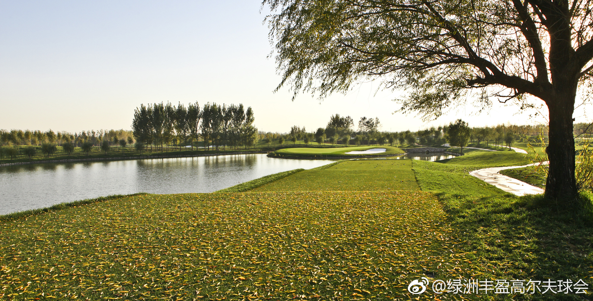 绿洲丰盈高尔夫球会