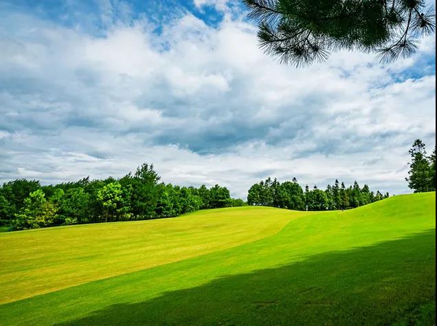 黄山松柏高尔夫球会