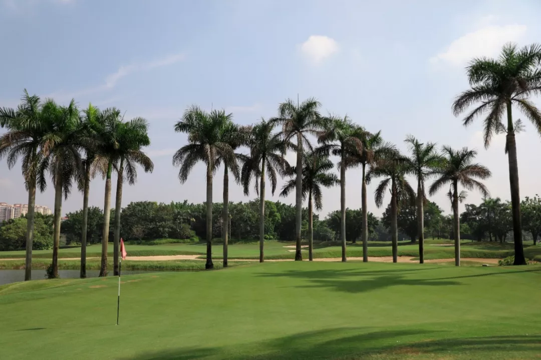 棕榈岛高尔夫球会