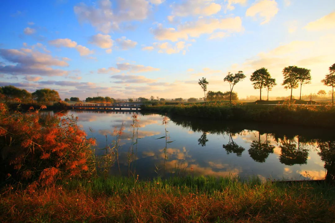 悦达射阳岛高尔夫球会