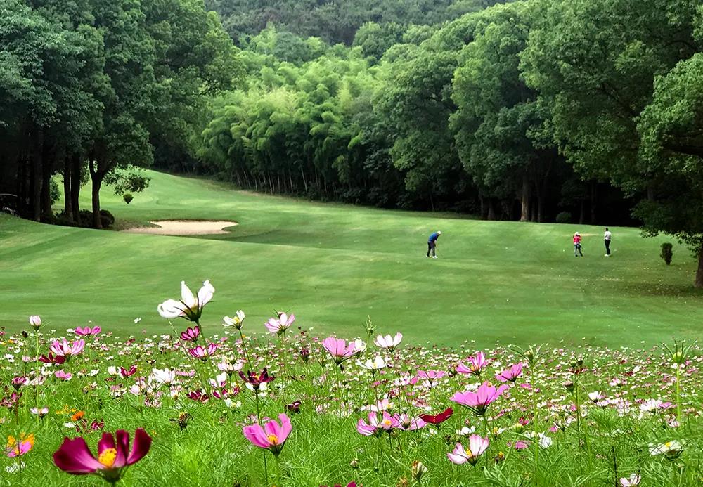龙涛国际高尔夫球会