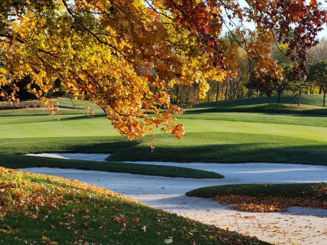 鸿华国际高尔夫球会